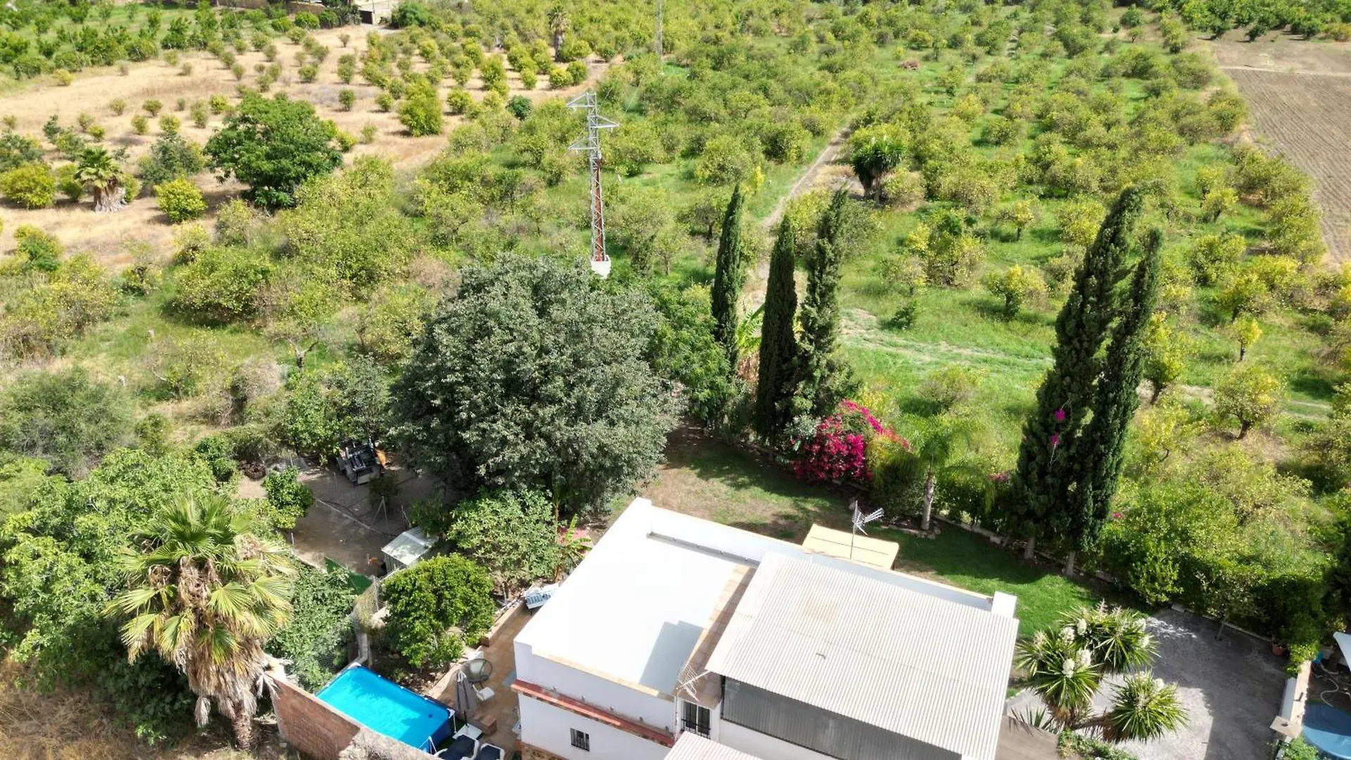 La Huerta Rural House In The Nature With Pool And Garden, Next The Center Villa Cartama Holiday home